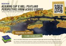 EPPWG webinar flyer