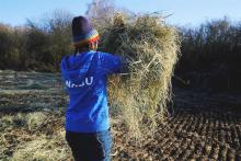 Field technician distributing special hay at a Muti Peat site in Germany