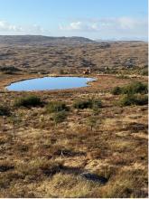 Galway Wind Park